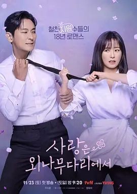 爱在独木桥 사랑은 외나무다리에서 (2024) [韩国] [剧情/ 爱情] 韩语 / 独木桥上的爱情 / Love Your Enemy 6.2 高...