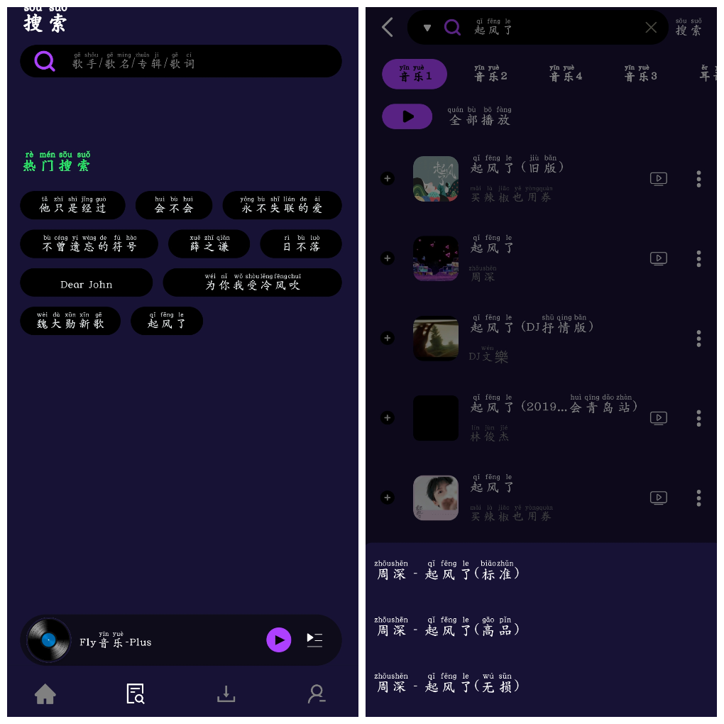 Fly音乐-Plus_1.3.1 无损音乐免费听免费下载